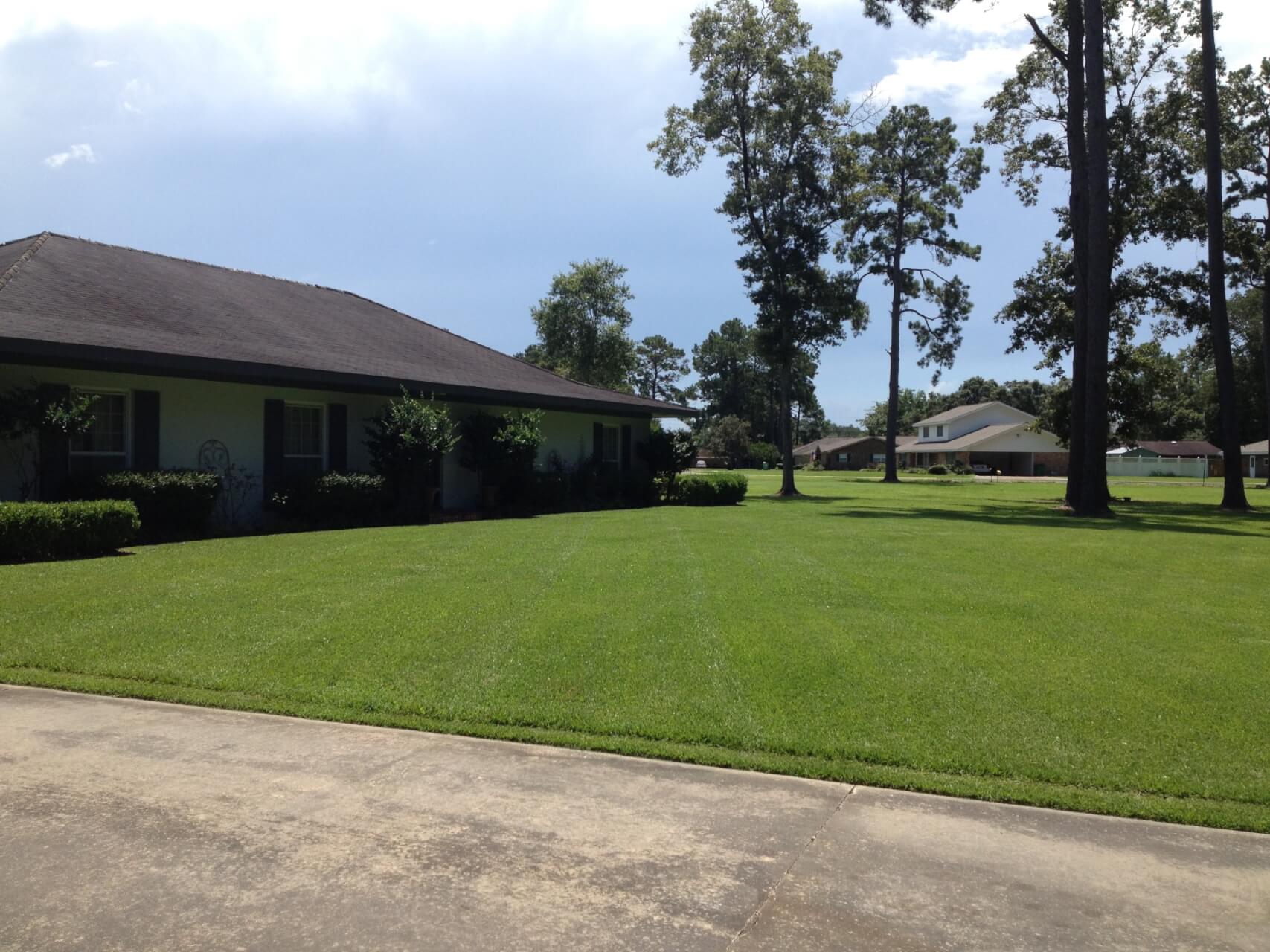 Lawn Care Edging Trimming Crowley Lafayette LA Just the Basics 50011